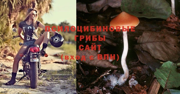 mix Алексин