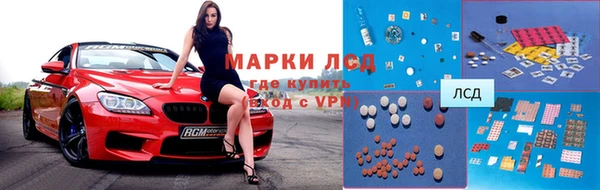 прущий лед Алзамай