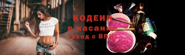 прущий лед Алзамай