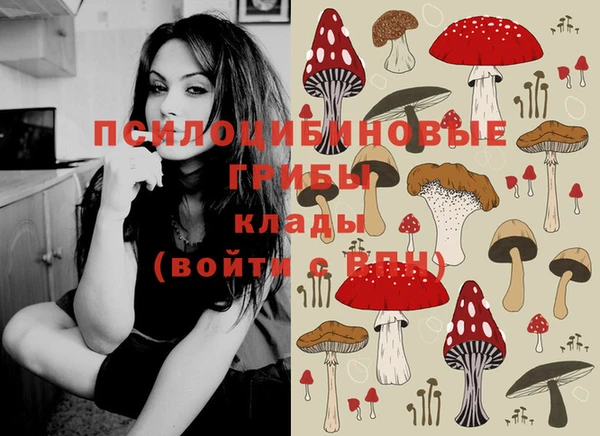 прущий лед Алзамай