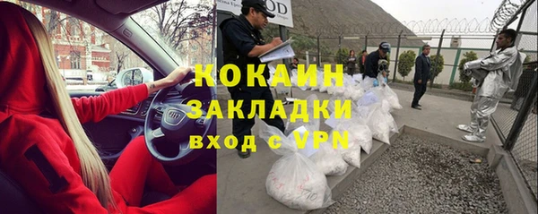 прущий лед Алзамай
