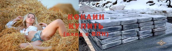 прущий лед Алзамай
