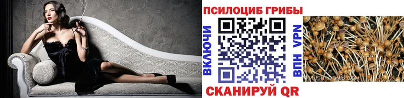 Галлюциногенные грибы Psilocybine cubensis  Октябрьск 